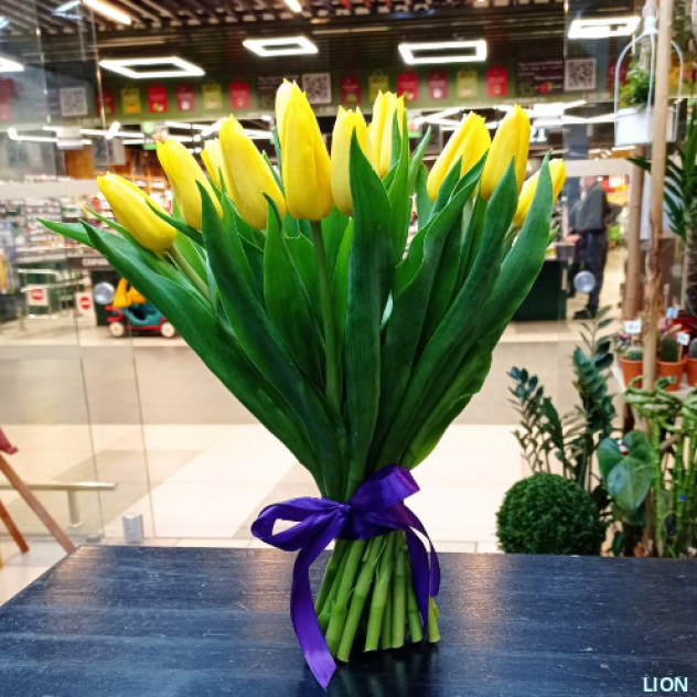 Букет из 19 тюльпанов любого цвета